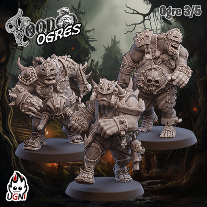 Voodoo (Ogres)